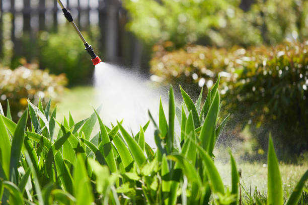 24/7 Emergency Mosquito Control experts in Shepherdstown, WV